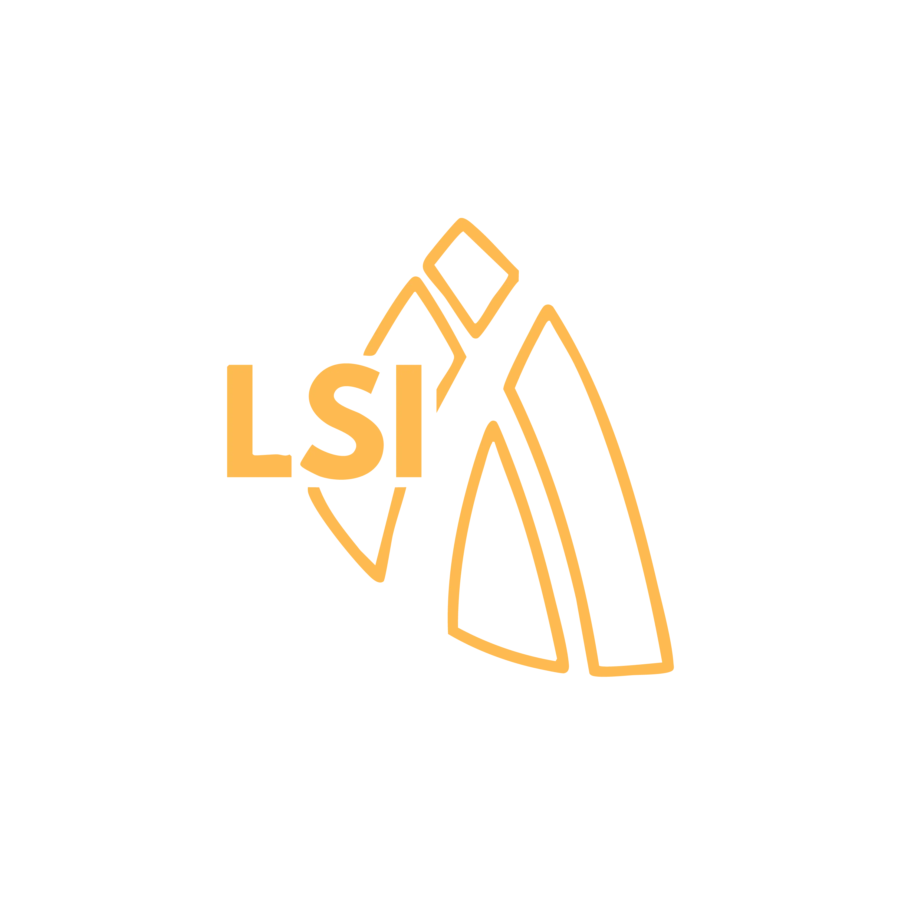 Logo LSI Marketing